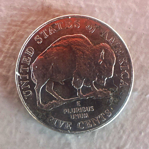 2005 buffalo nickel - buffalo, 5c
